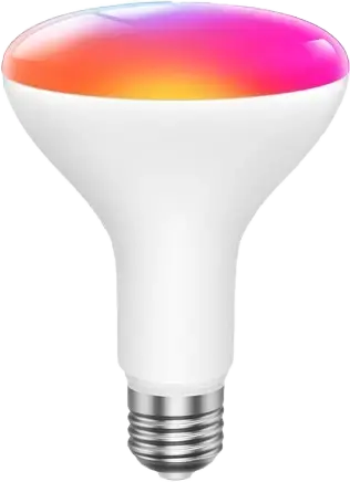 BR30 Bulb
